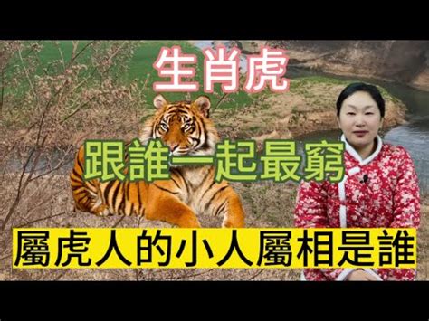 屬虎適合住幾樓|屬虎的人住什麼房子、樓層、方位最吉利？準的離譜！。